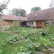 jardin potager