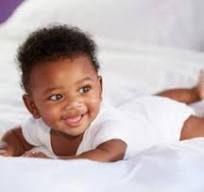 les bébé