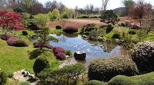 jardin zen