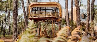 maison dans les arbres