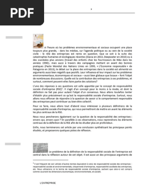 la responsabilité sociale des entreprises pdf