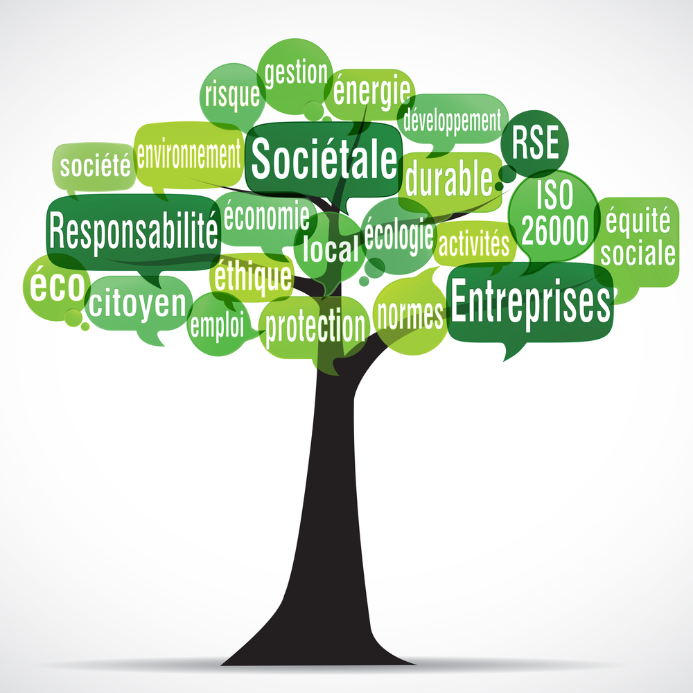 rse responsabilité sociale ou sociétale