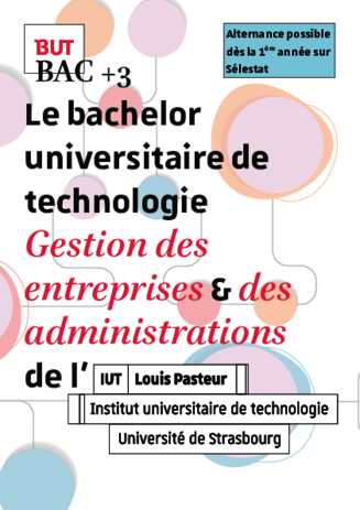 bachelor universitaire de technologie