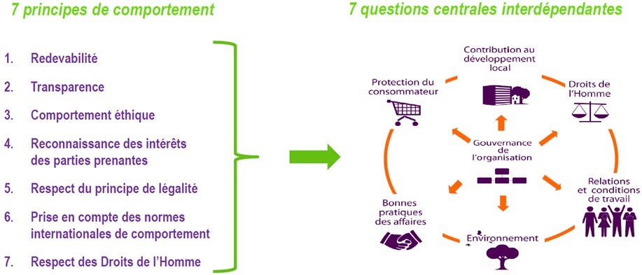 responsabilité sociétale de l organisation